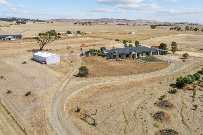 Picture of 697 EUDUNDA ROAD, DUTTON SA 5356