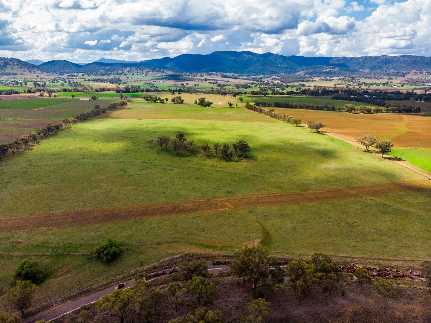 405 Loomberah Road, Calala NSW 2340 House for Sale Domain