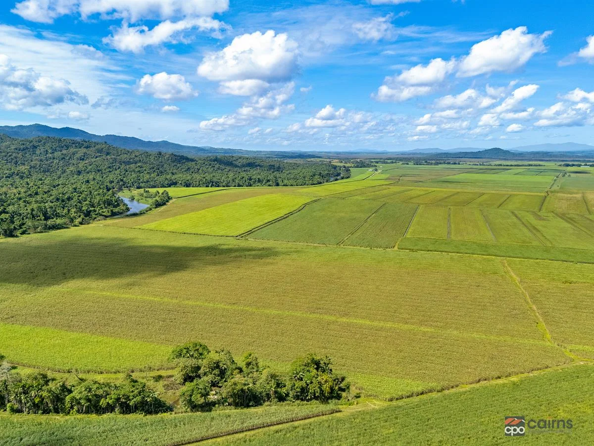 Additional image 6 of 10 Titles Booth Rd via Goldsworthy Rd, Mirriwinni QLD 4871