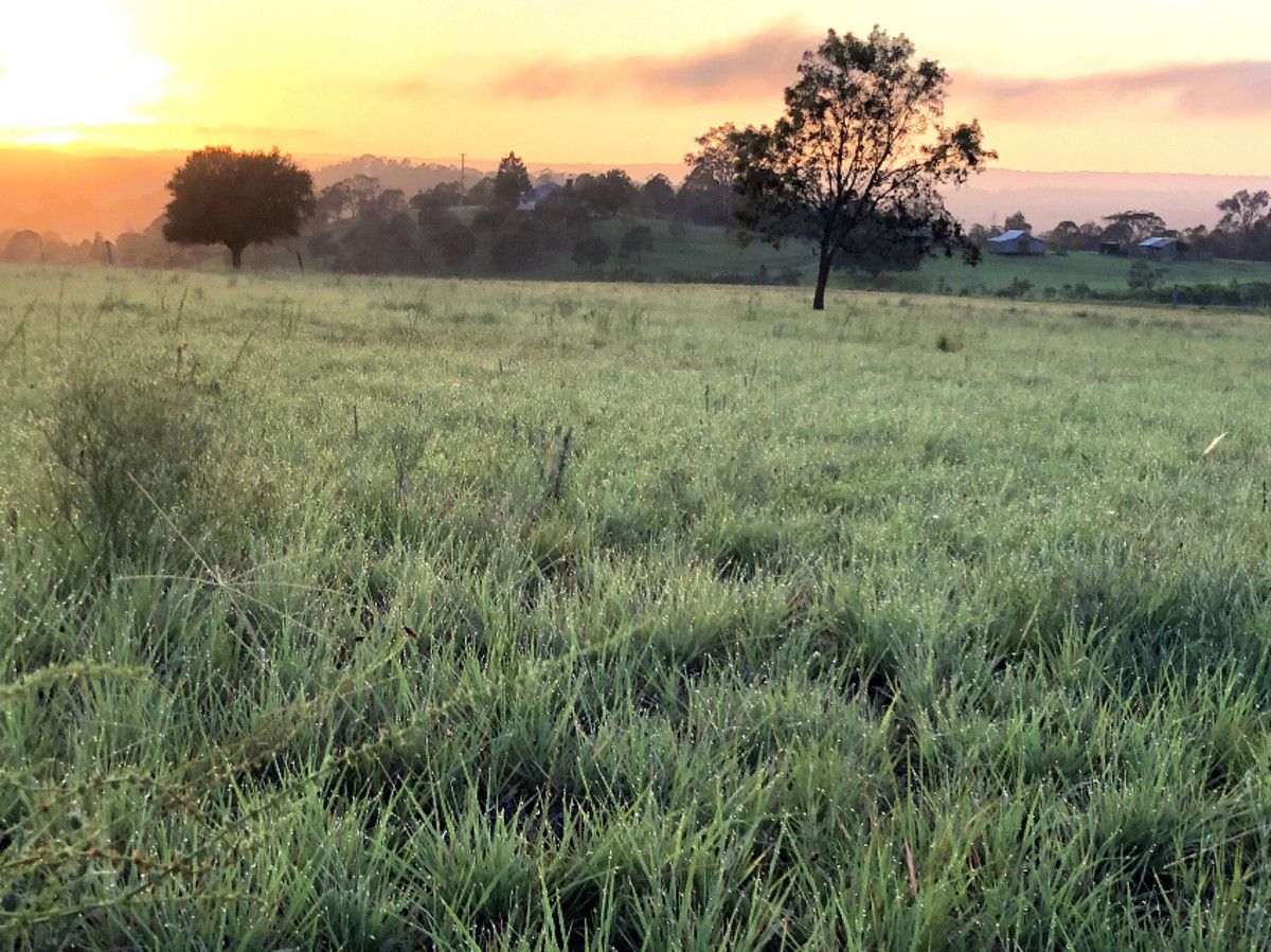 63 Green Acres Road, Groomsville QLD 4352 House for Sale Domain