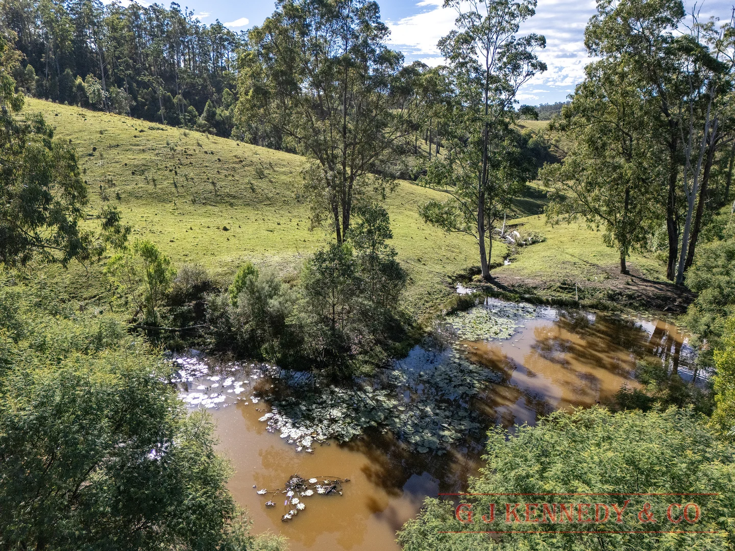 Image 15