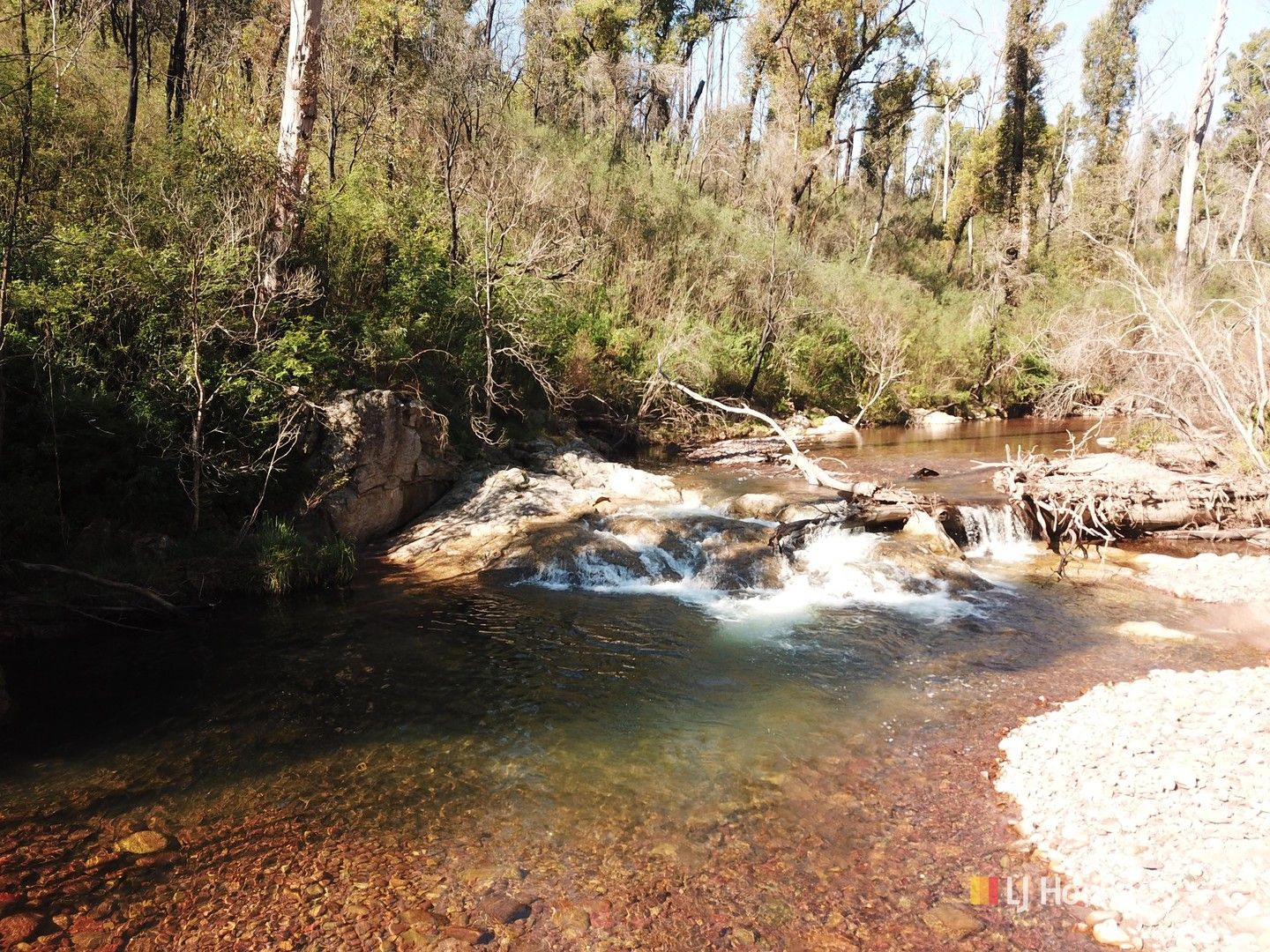 484 Murrabrine Forest Road, Yowrie NSW 2550, Image 0