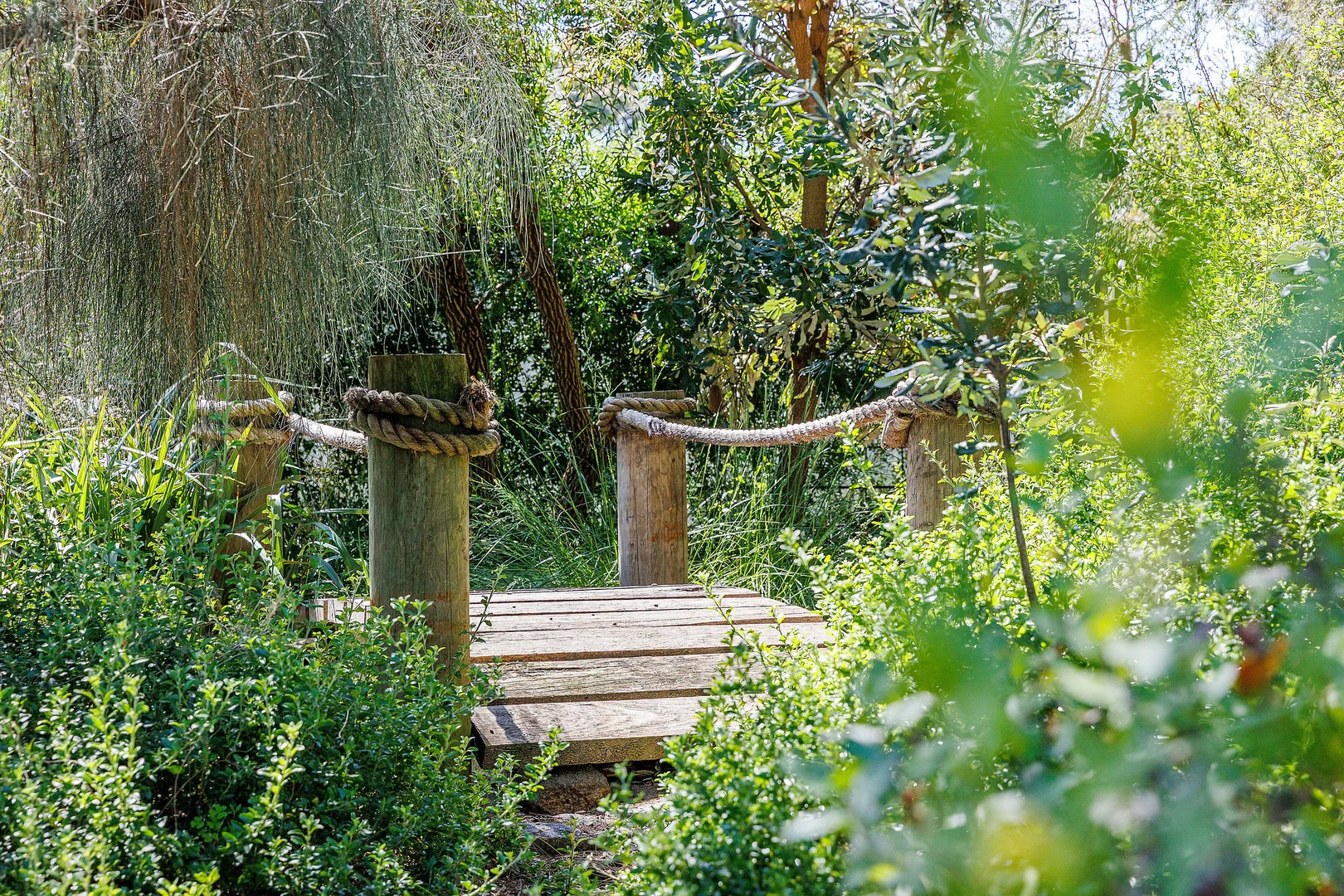 Image 14