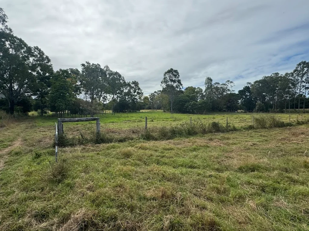Image 9