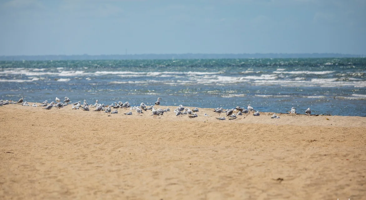 Additional image 18 of 4A, 6, 6a &/8 Fresno Street, Altona VIC 3018