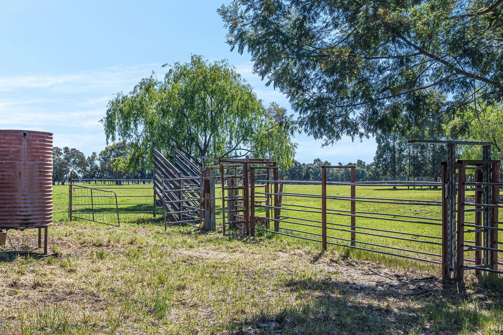 970 Birregurra-Deans Marsh Road, Murroon VIC 3243, Image 2