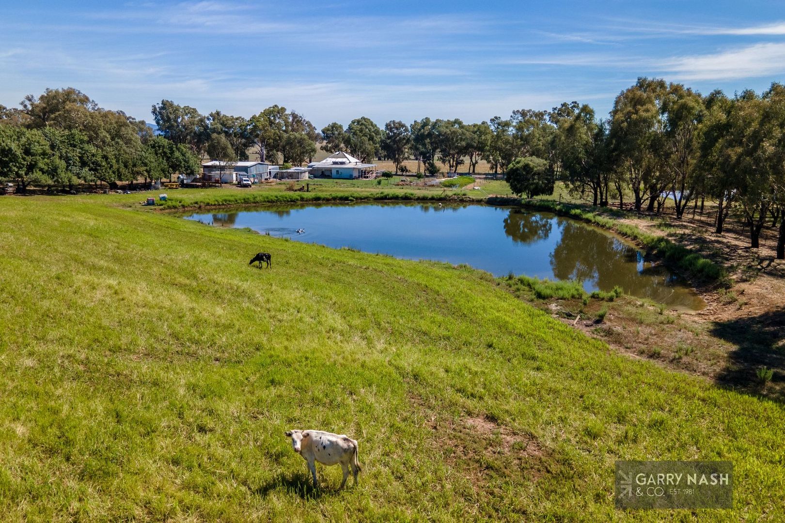 321 Moyhu - Hansonville Road, Hansonville VIC 3675, Image 1