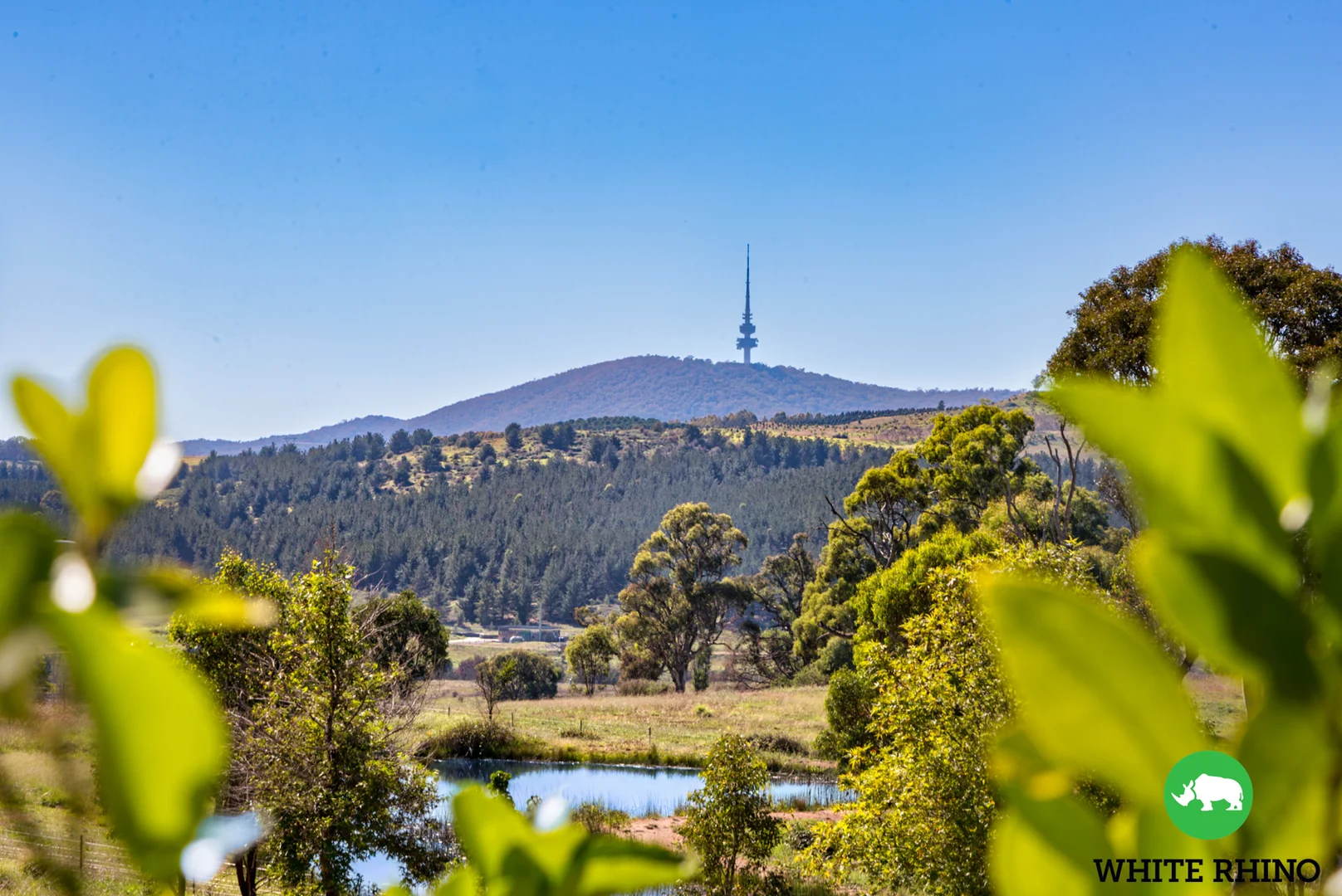 Additional image 20 of 87/44 Marie Little Crescent, Denman Prospect ACT 2611