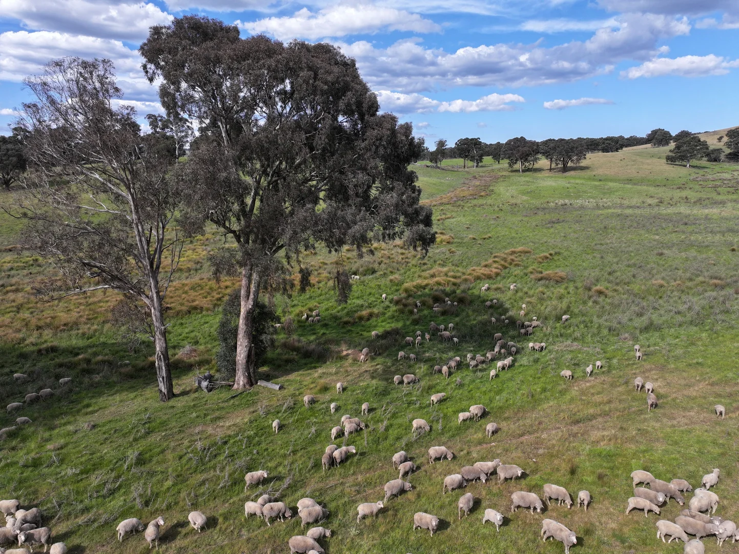 Additional image 11 of 680 Kangaloolah Road, Binda NSW 2583