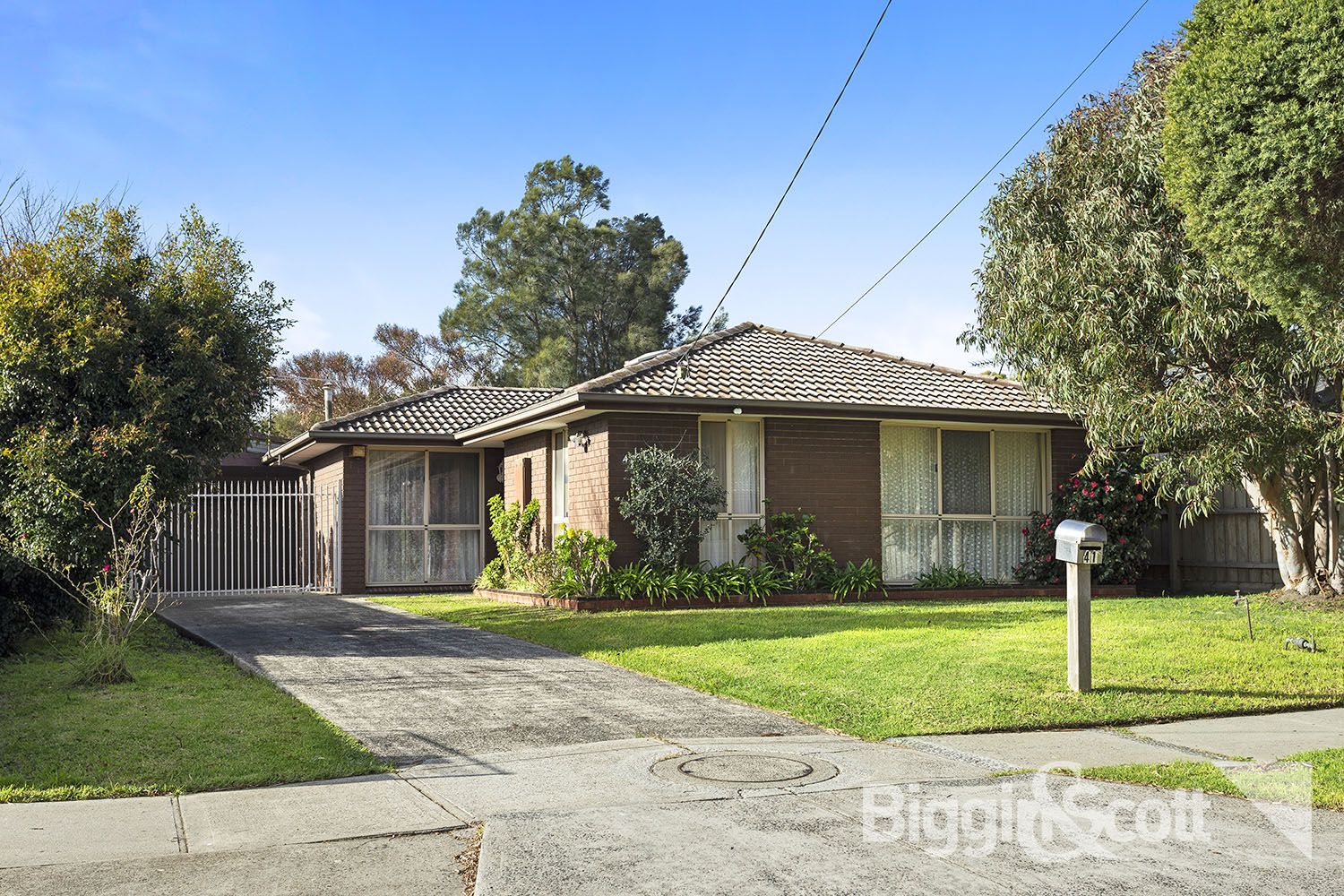 41 Tarongo Drive, Aspendale VIC 3195, Image 0