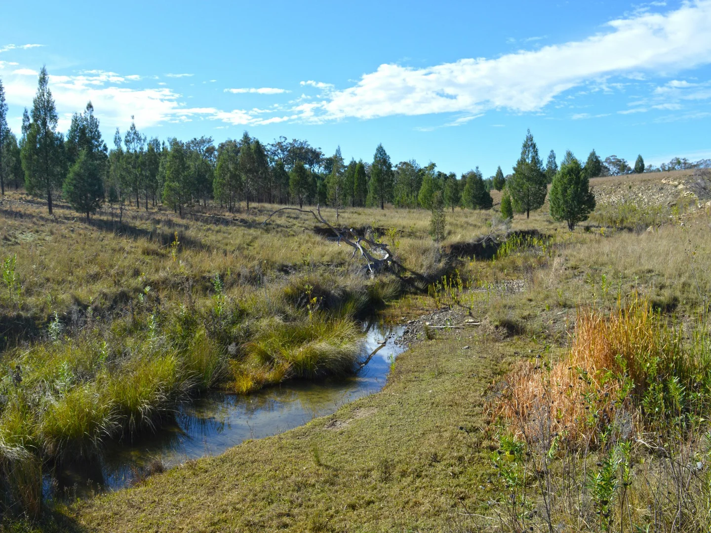 Additional image 16 of Lot 1 Hollybank Road, Inglewood QLD 4387