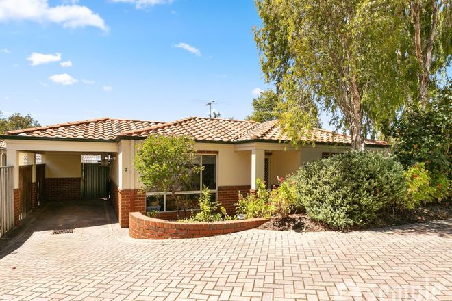 Picture of 3/33 Paddington Court, BIBRA LAKE WA 6163