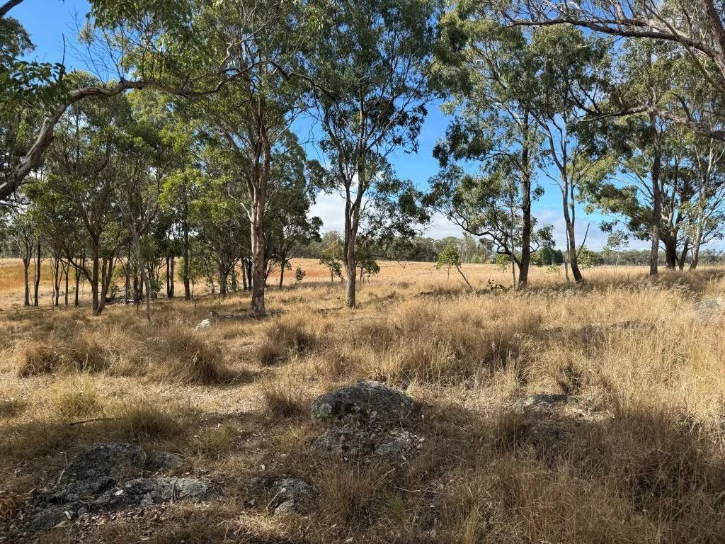 Additional image 32 of 57 Nielsens Road, Sugarloaf QLD 4380