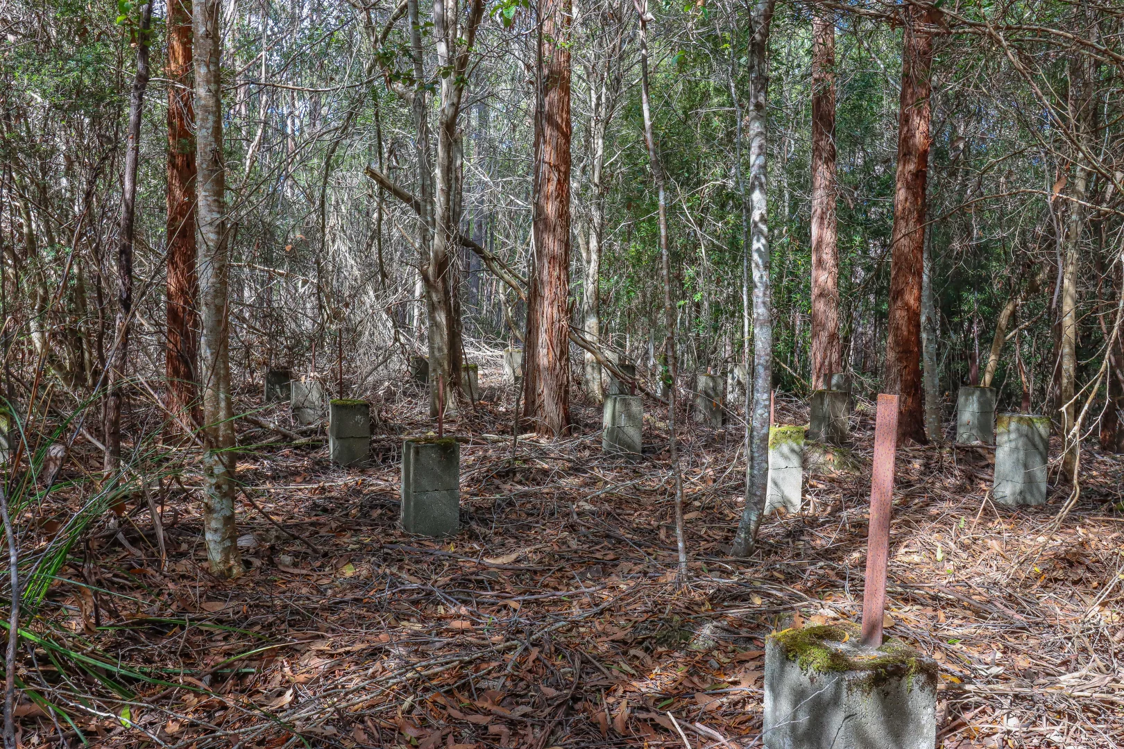 Additional image 27 of 1 Link Road, Lonnavale TAS 7109