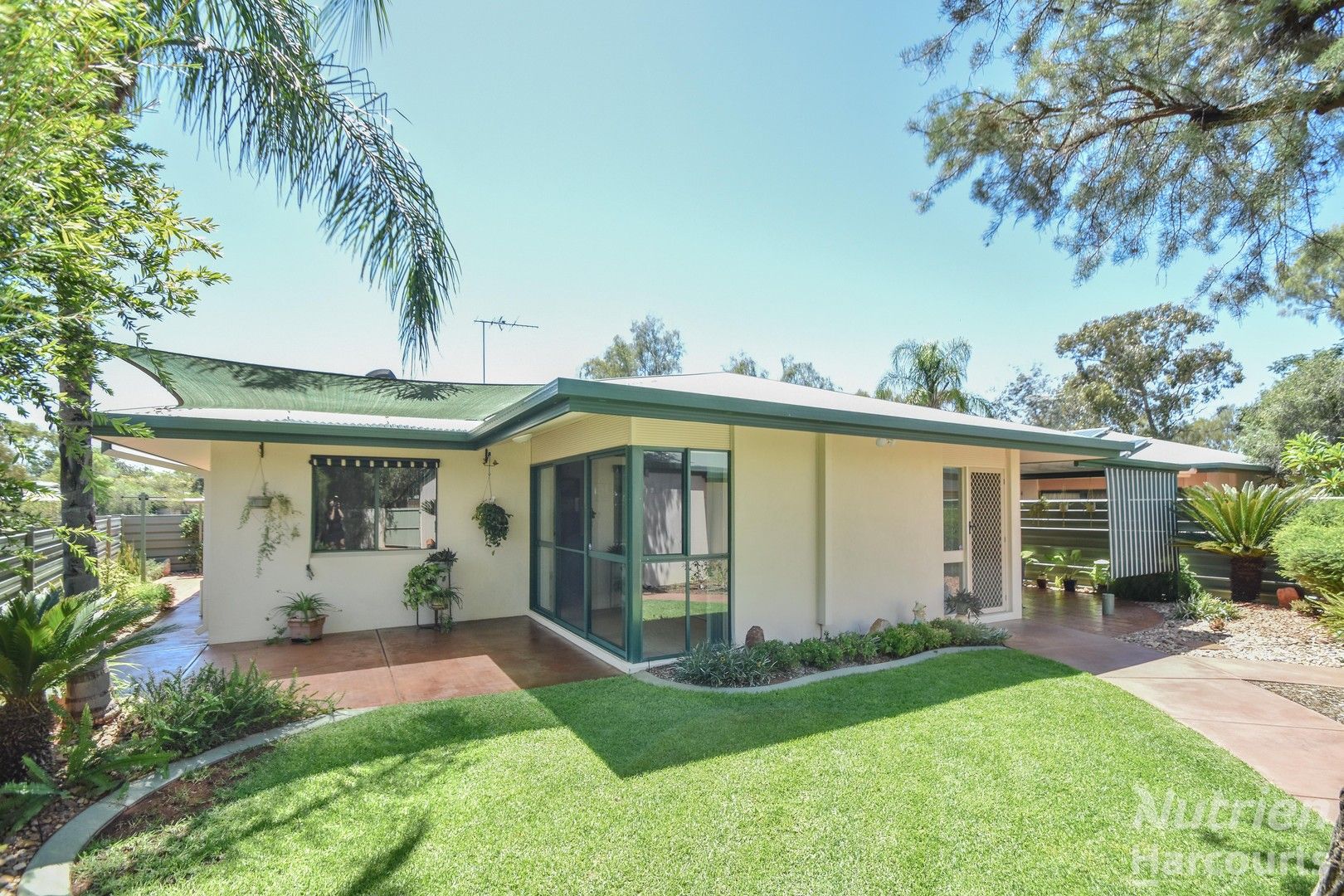 1/4 Rose Court, Braitling NT 0870, Image 0