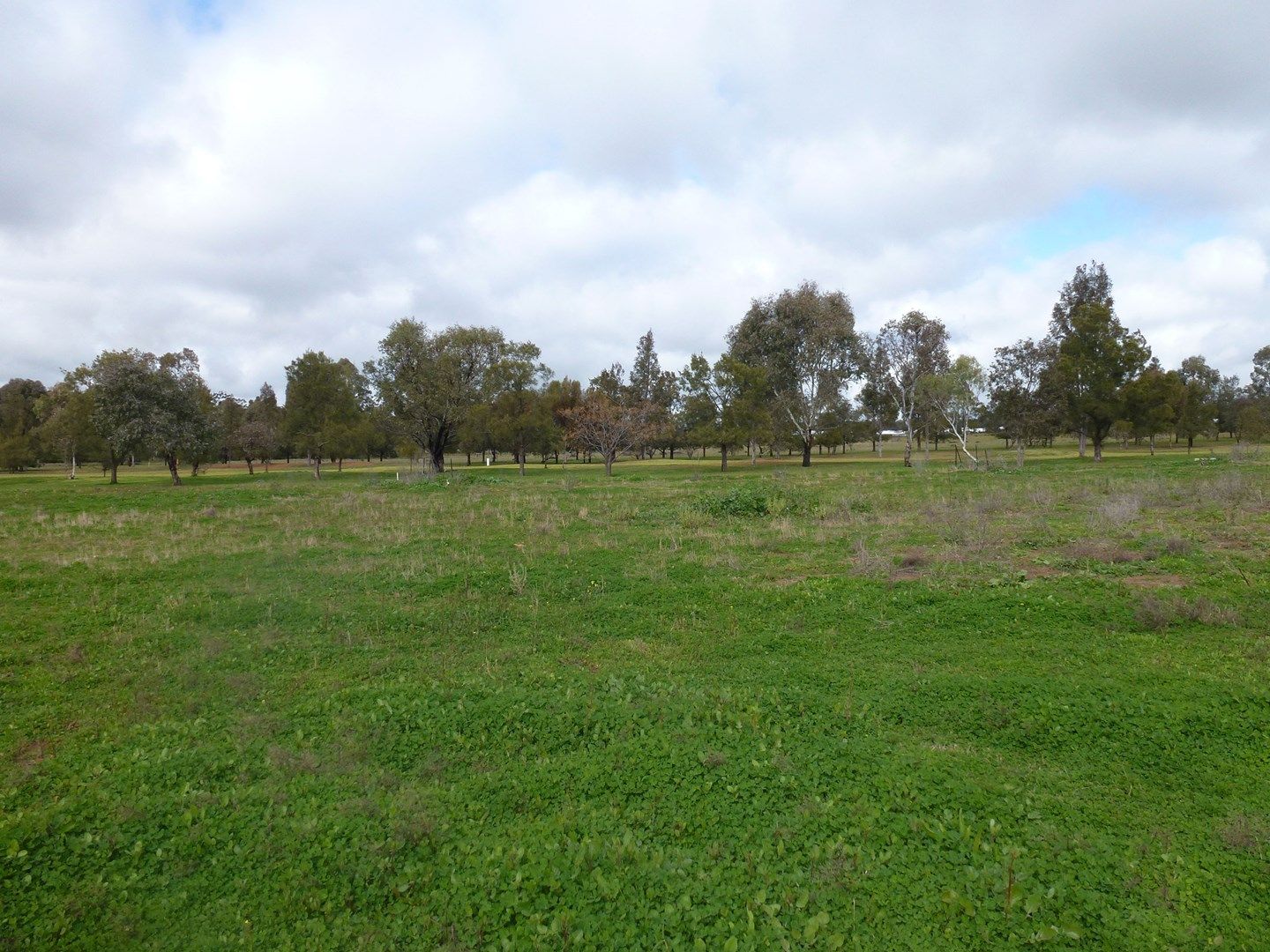 88 Lakeside Circuit, Dubbo NSW 2830, Image 0