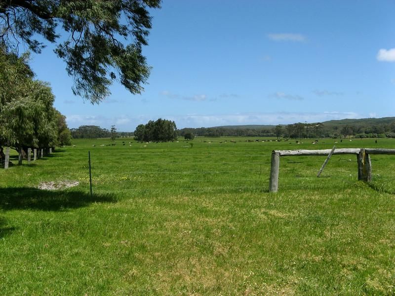 P/L 303 Caves Road, BORANUP WA 6286, Image 2