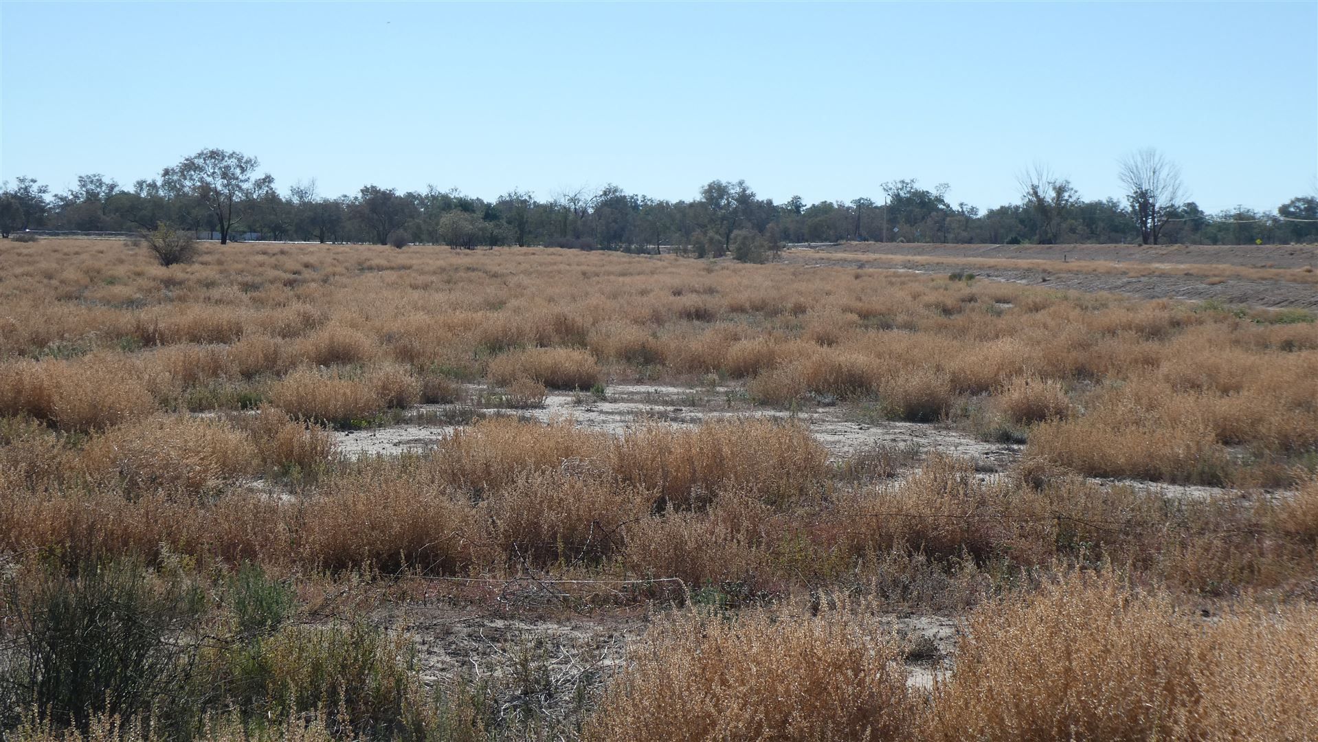 Bourke NSW 2840 Farm for Sale Domain