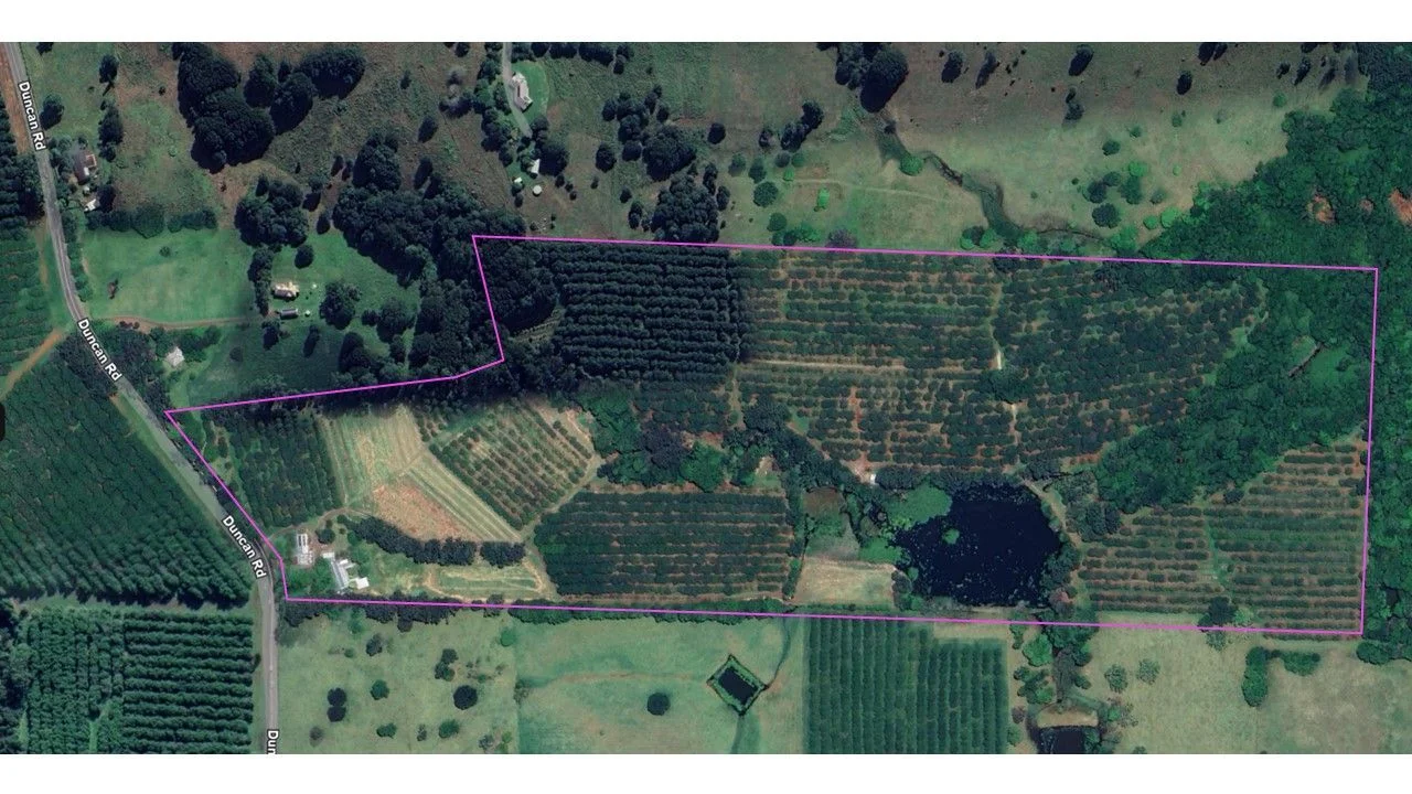 Additional image 18 of Numulgi NSW 2480