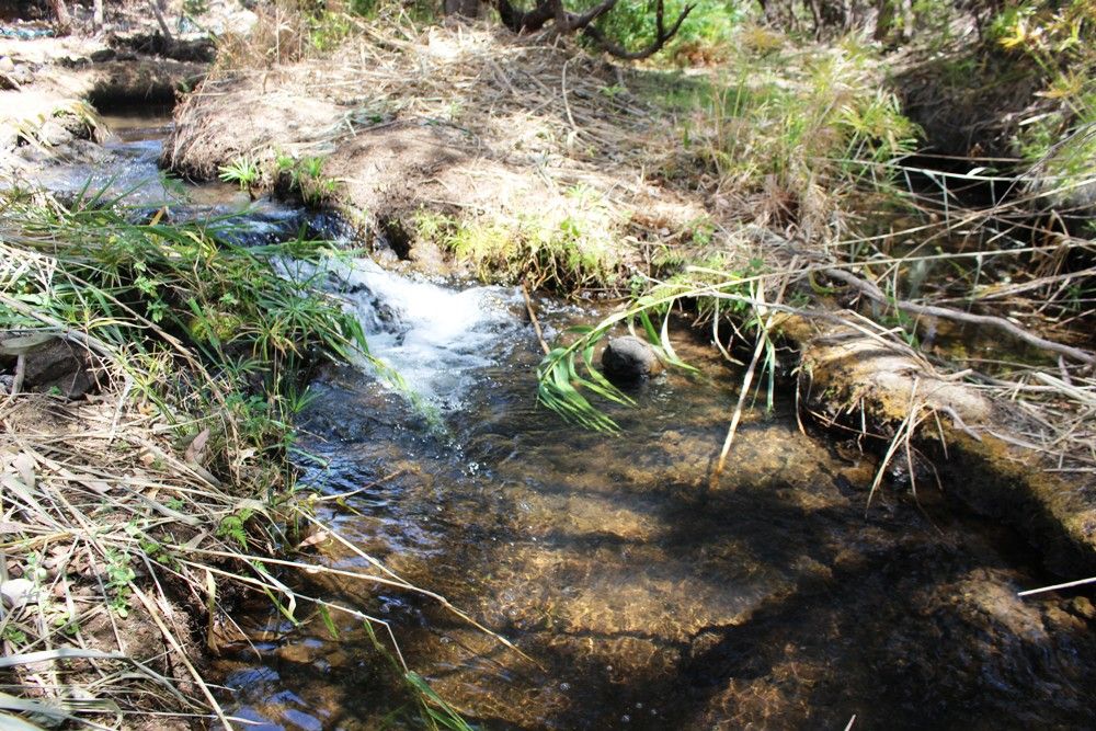 Mareeba QLD 4880 vacant land for Sale, From 103,500 neg 2015680897