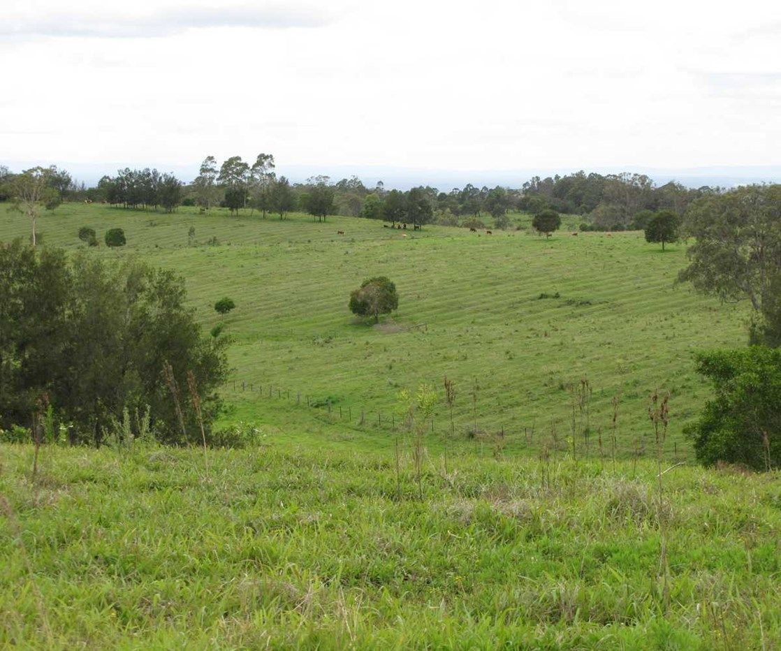 1275 Bulmers Road, Hogarth Range NSW 2469, Image 1