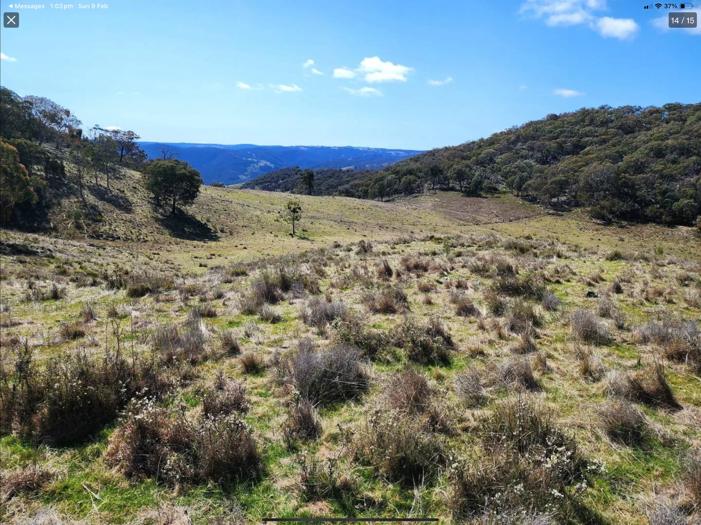 Image 19
