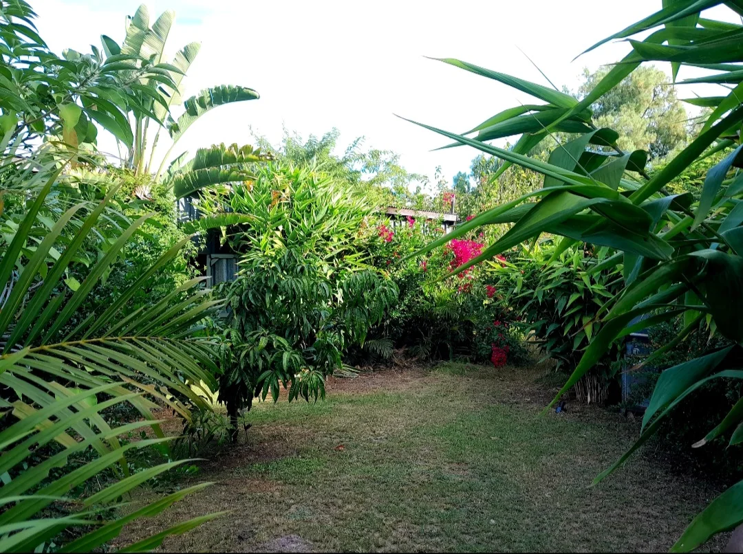 Image 22