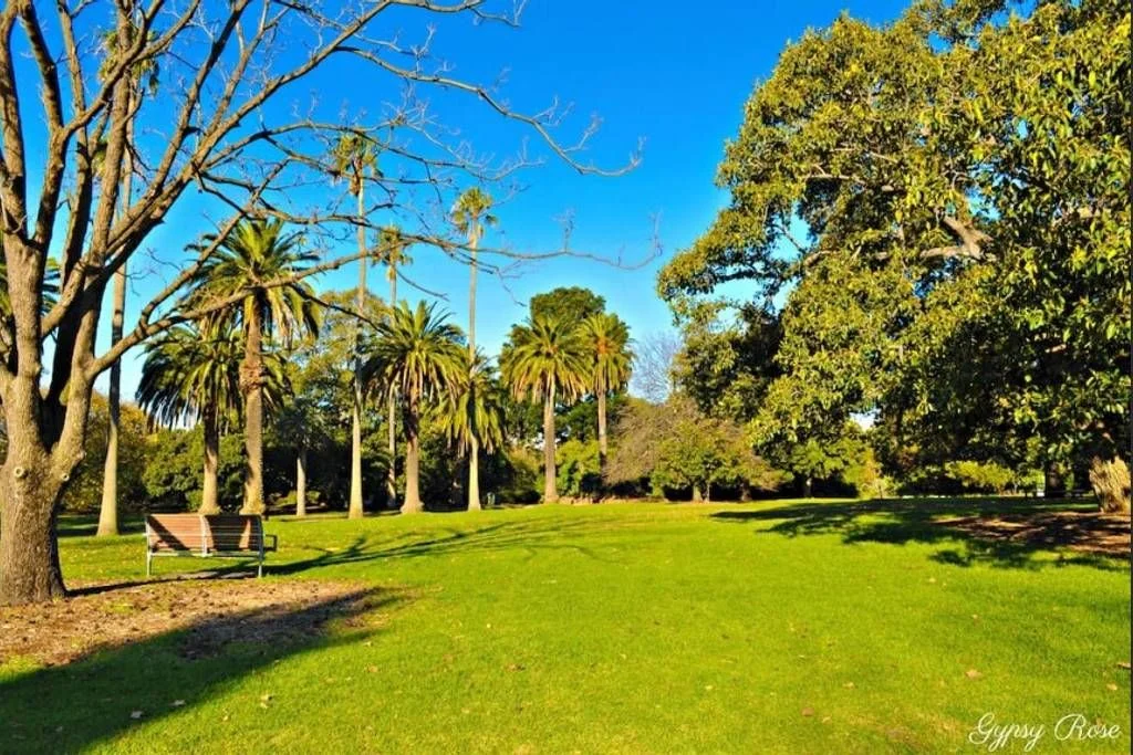 Additional image 19 of 1/24A Dickens Street, Elwood VIC 3184