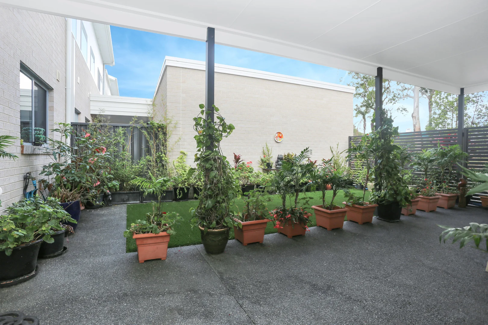 Image 19