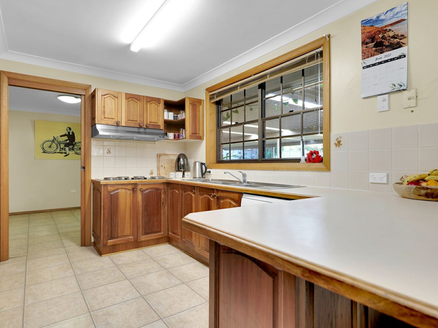 33 D'Arbon Avenue, Singleton NSW 2330, Image 2