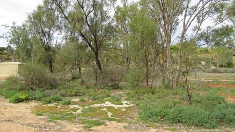 Lot 23 Idyll Acres, Murbko SA 5320, Image 0