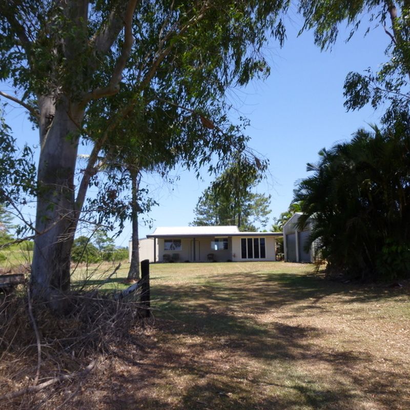 16 Brincat Road, Mena Creek QLD 4871 House For Sale Domain