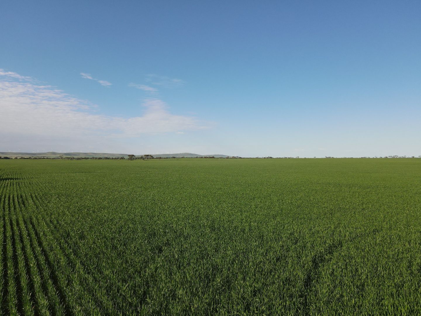 'Glen Park' 663 Mundoora Boundary Road, Mundoora SA 5555 House for Sale