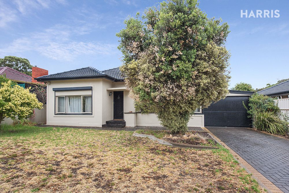 14 Albert Avenue, Tranmere SA 5073, Image 0