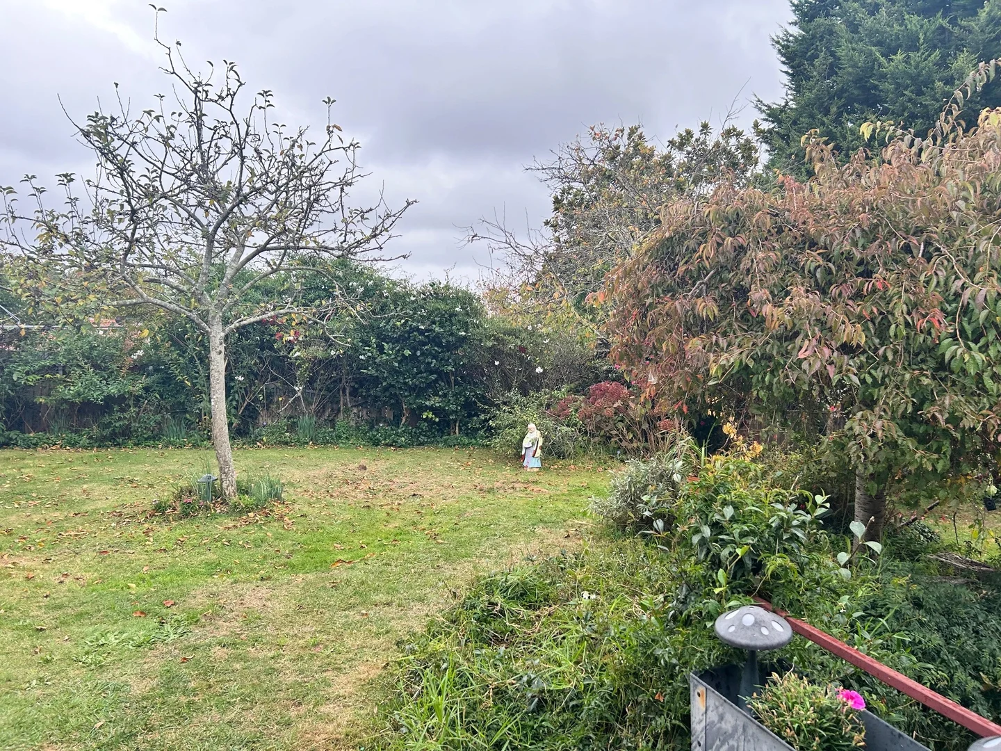 Additional image 19 of 25 Walgett Street, Katoomba NSW 2780