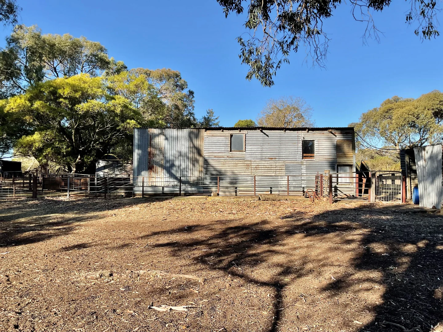 Image 12