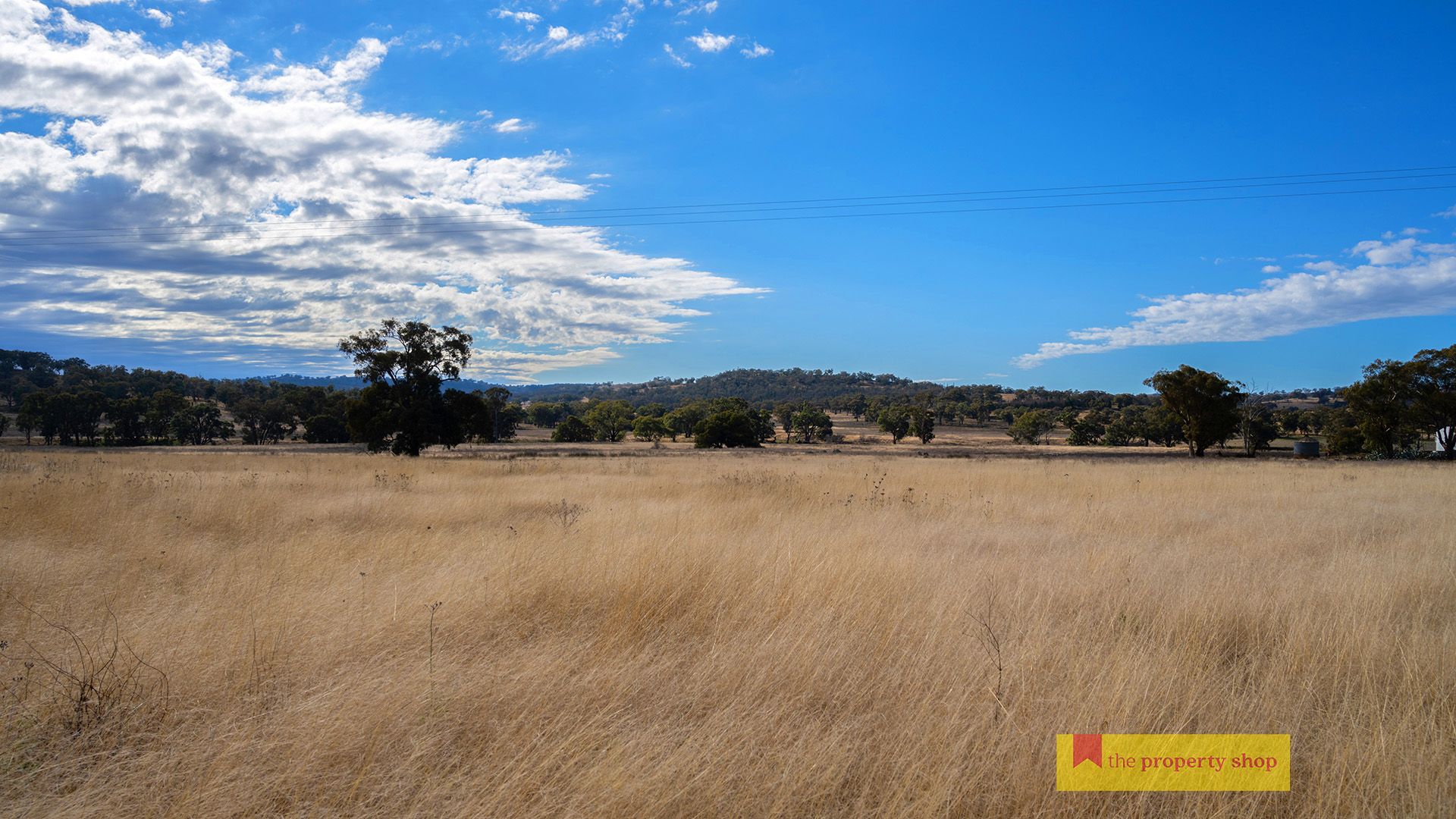 298 Gollan Road, Mudgee NSW 2850, Image 0