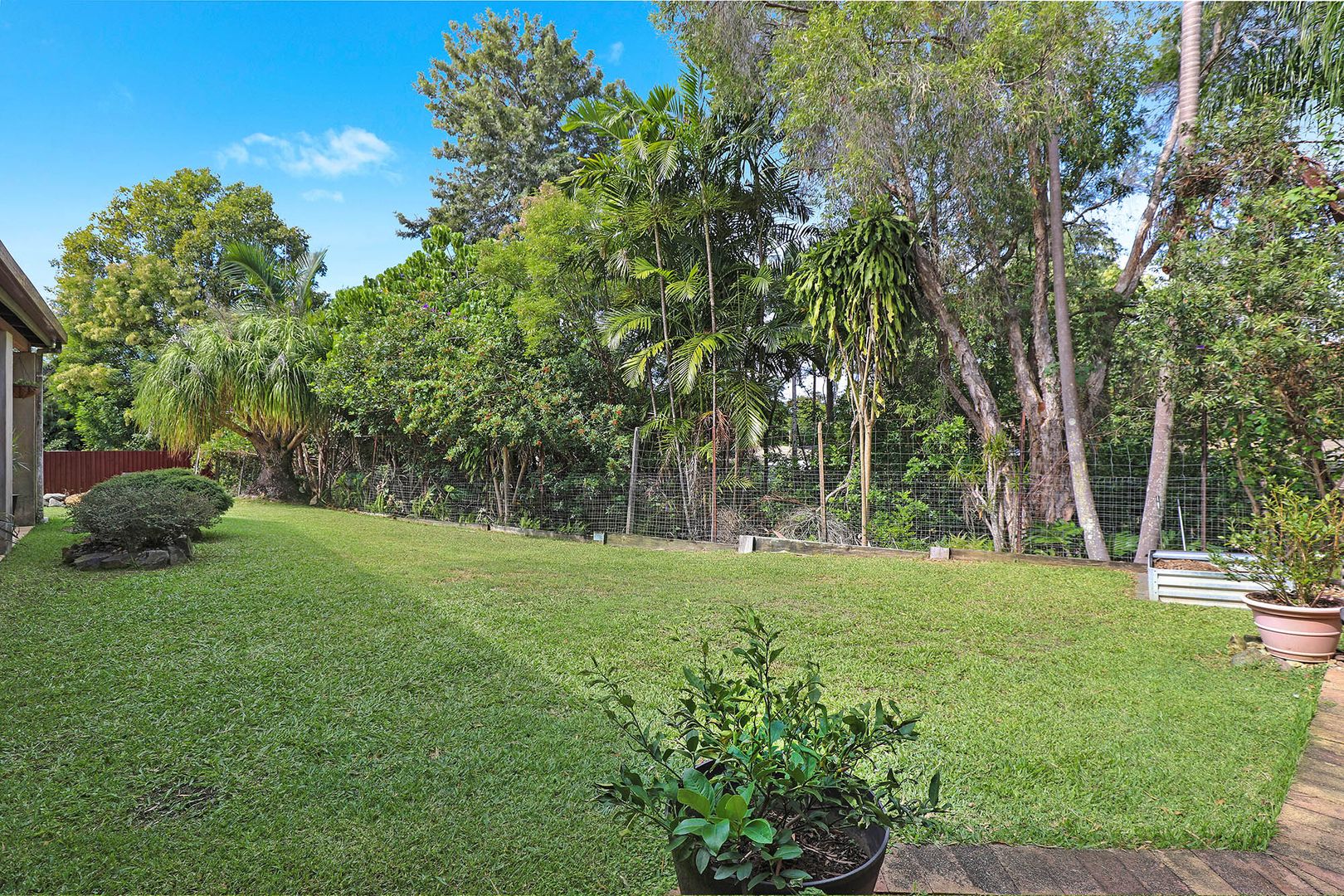 3 Pelican Place, Bli Bli QLD 4560, Image 1