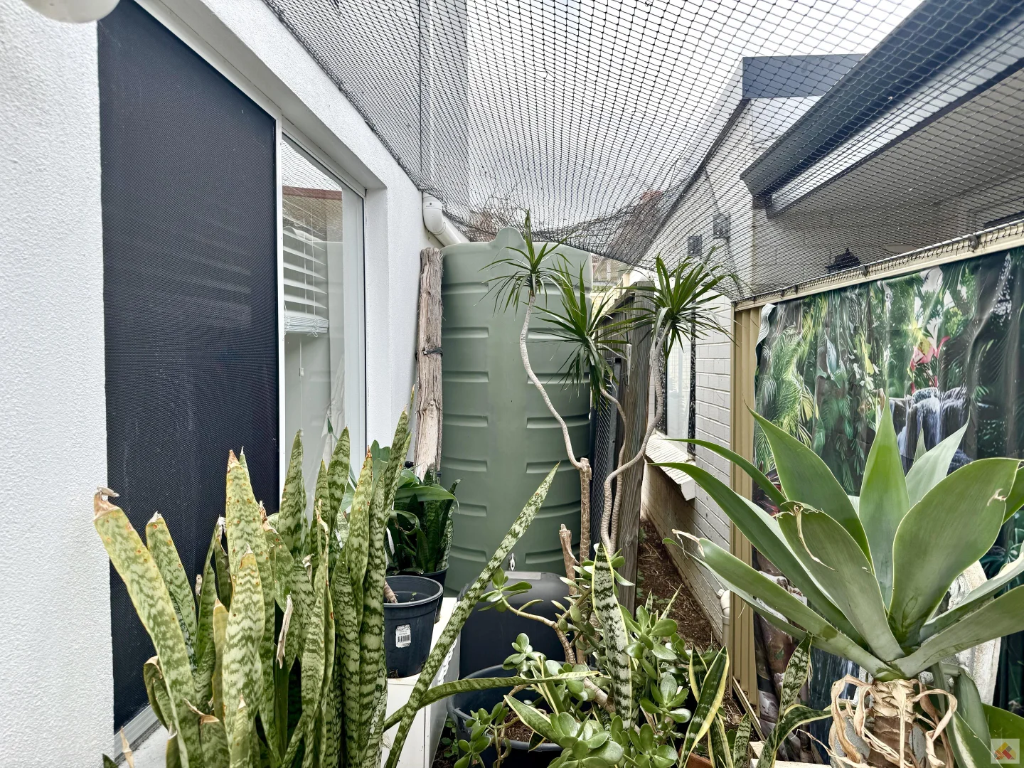 Image 45