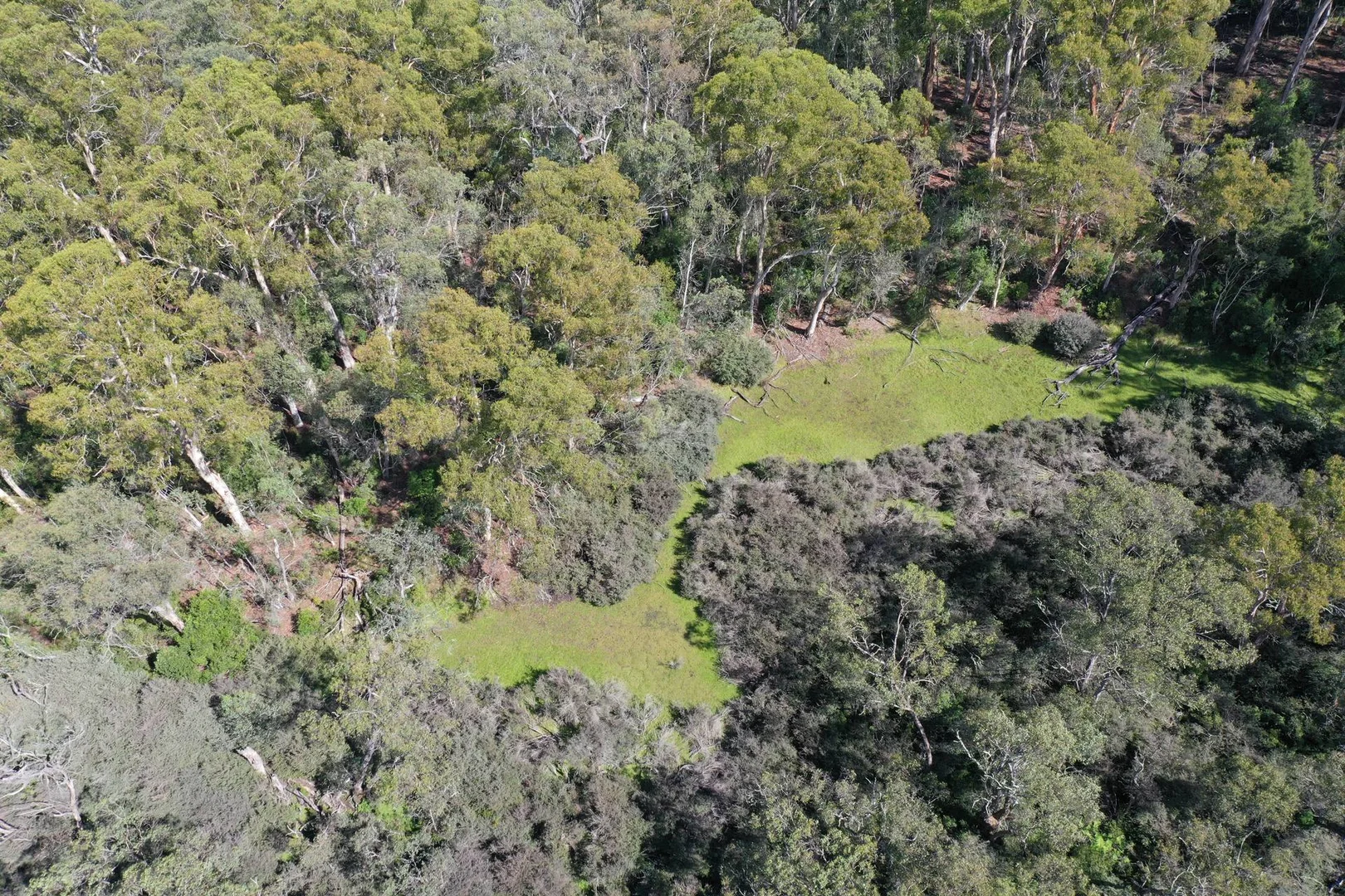 Image 10