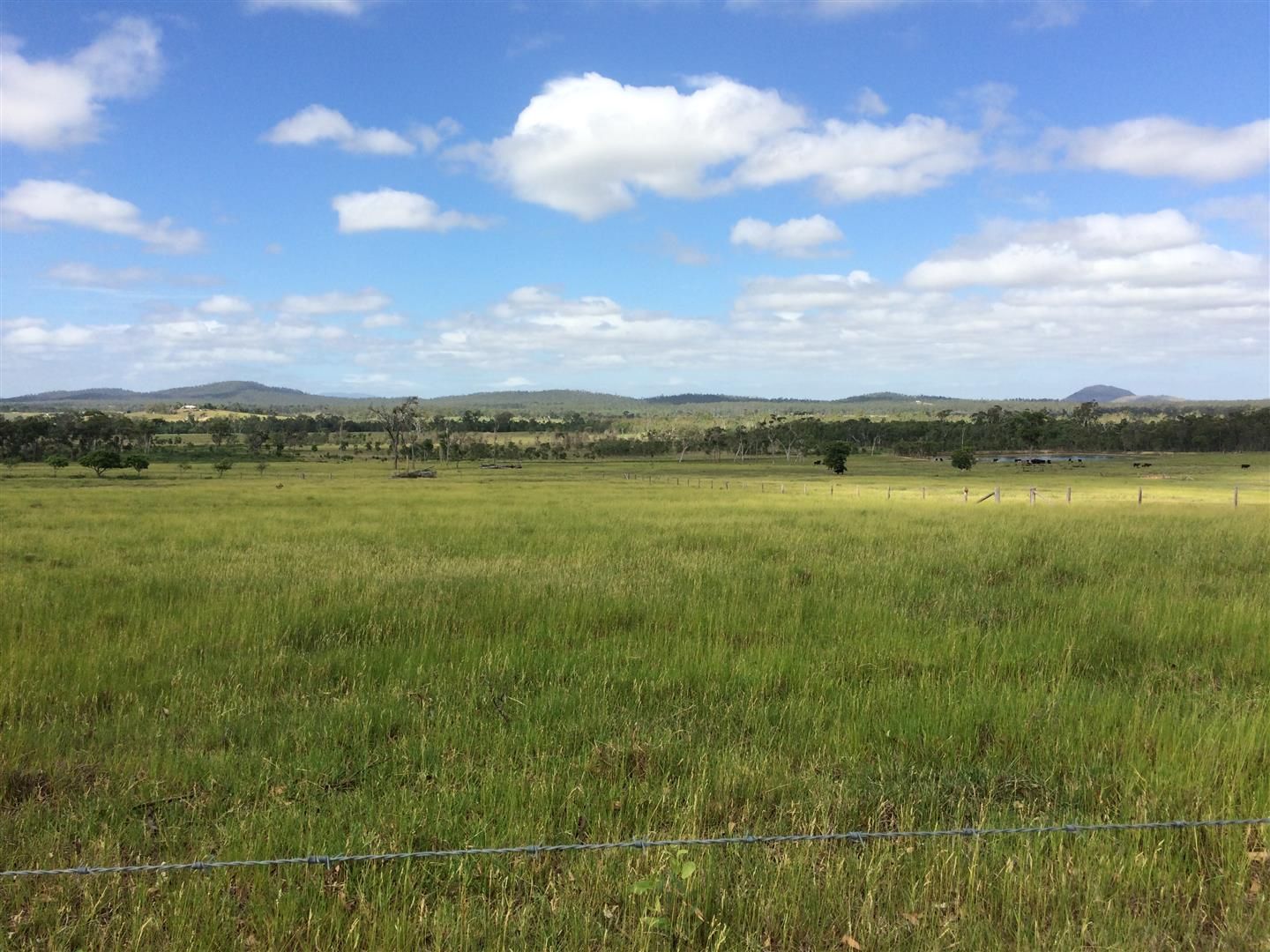 . Mount Rae Road, Bungundarra QLD 4703, Image 2