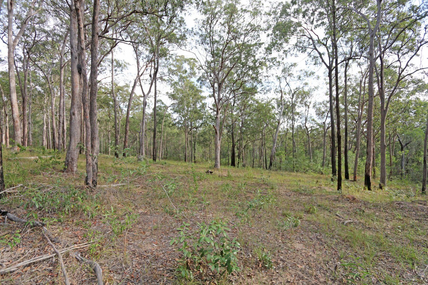 Lot 69 Ashby-Tullymorgan Road, Ashby Heights NSW 2463, Image 2