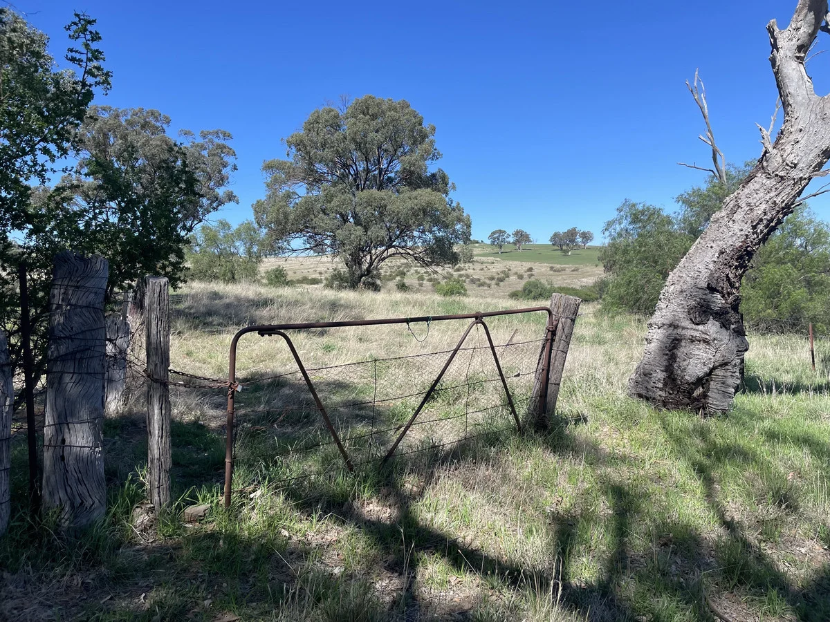 Additional image 2 of Lot 1 Noyeau Street, Woodstock NSW 2793