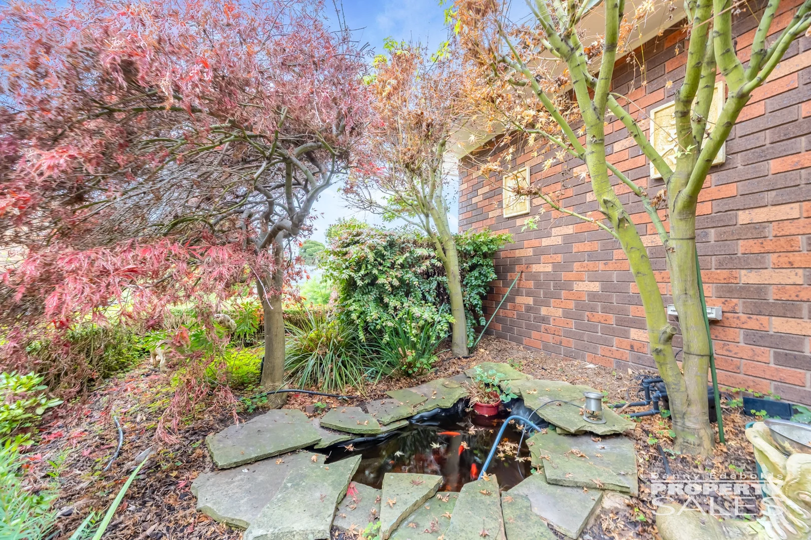 Image 21