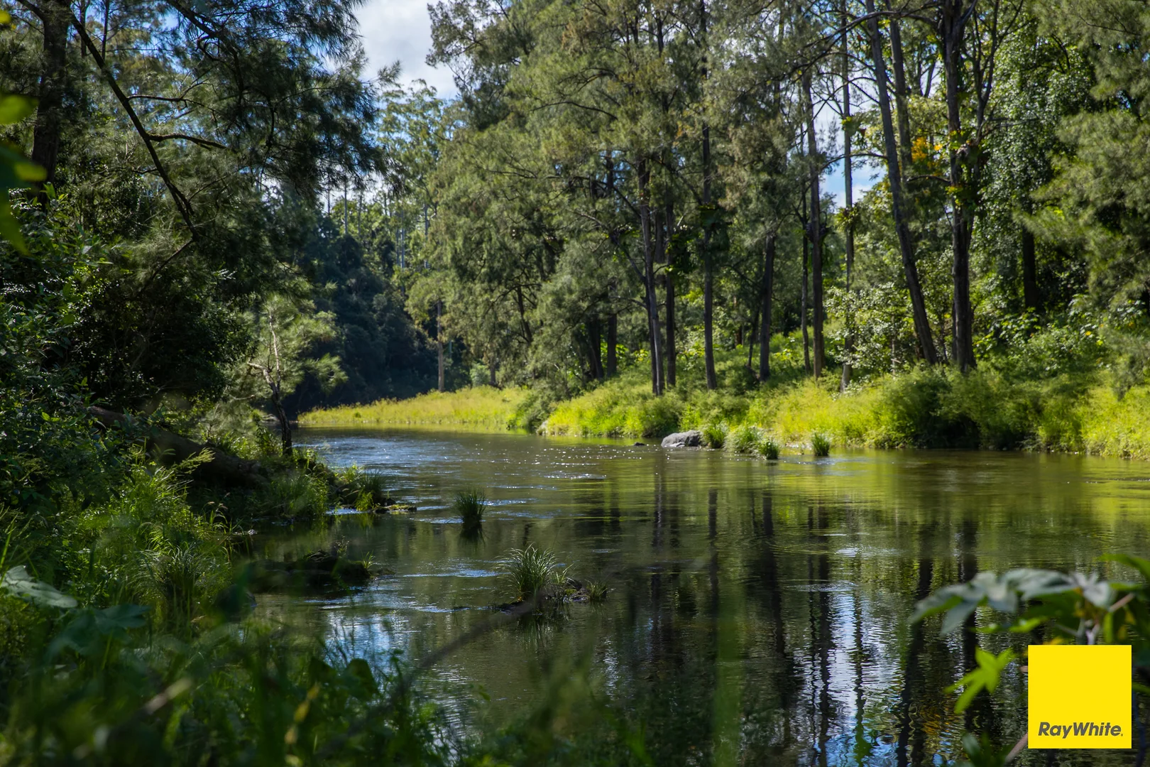 Additional image 3 of 'Sunrise' Darkwood Road, Bellingen NSW 2454