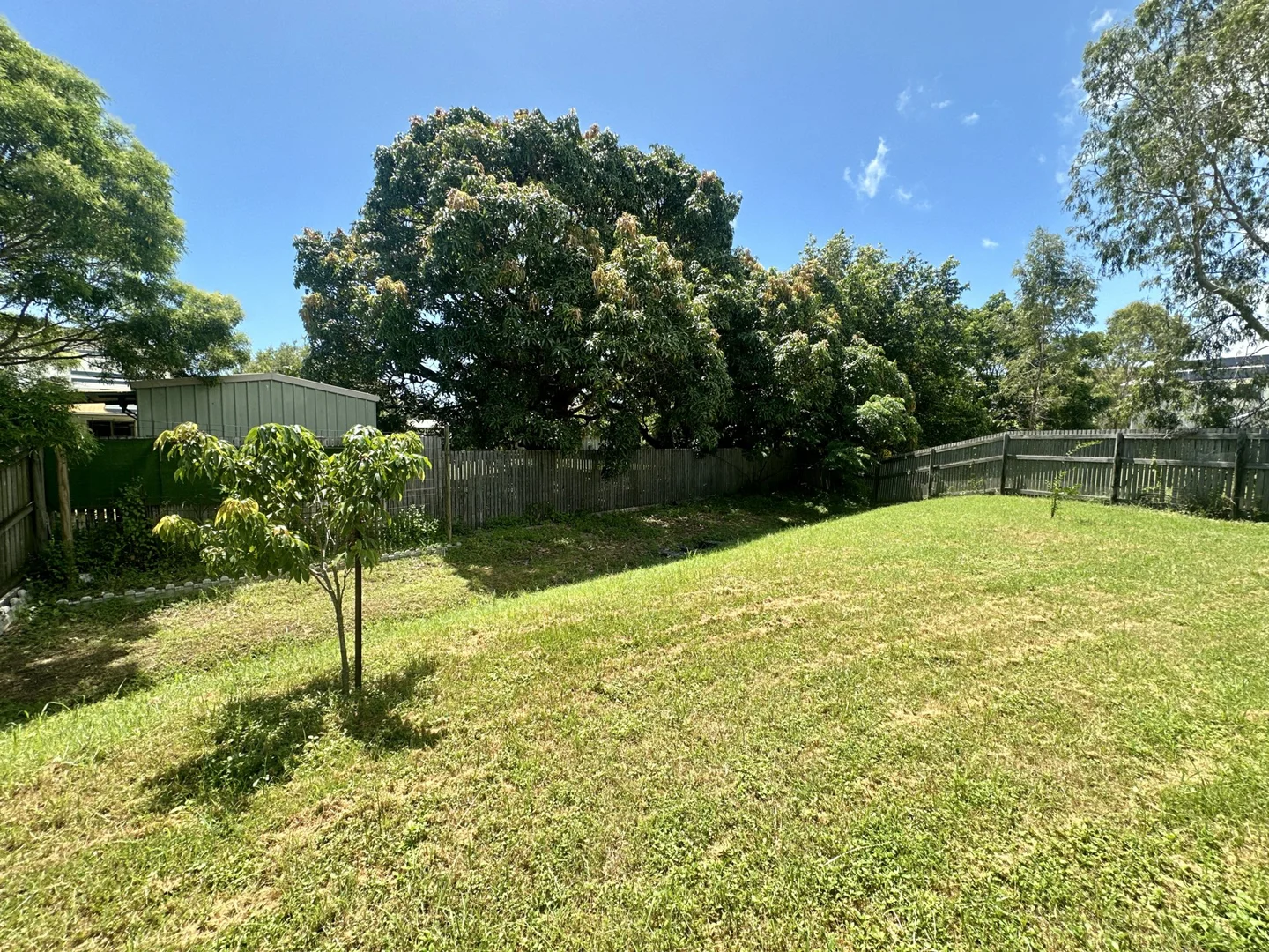 Image 28