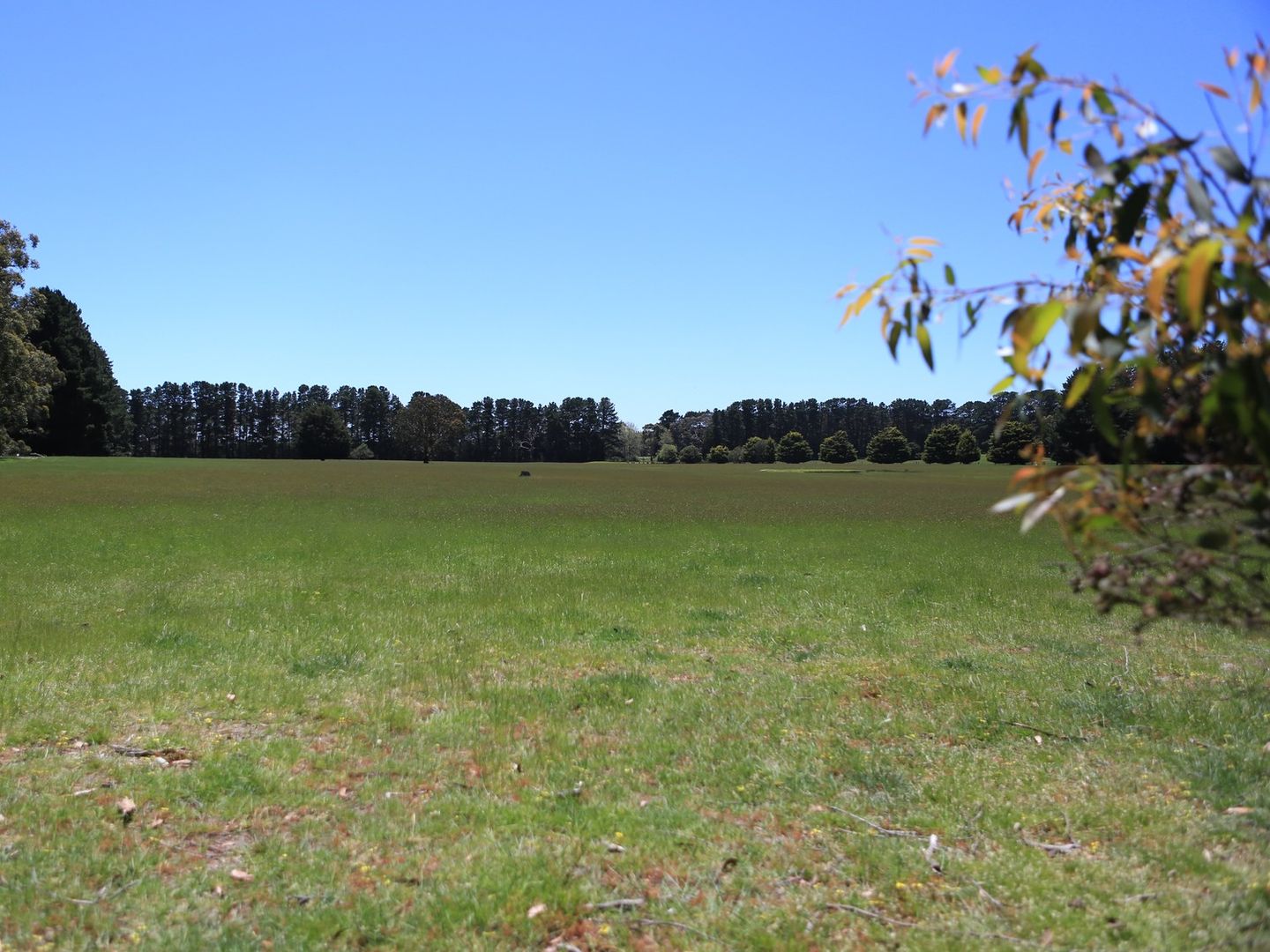 Lot 1/82 Haywoods Road, Lal Lal VIC 3352, Image 2