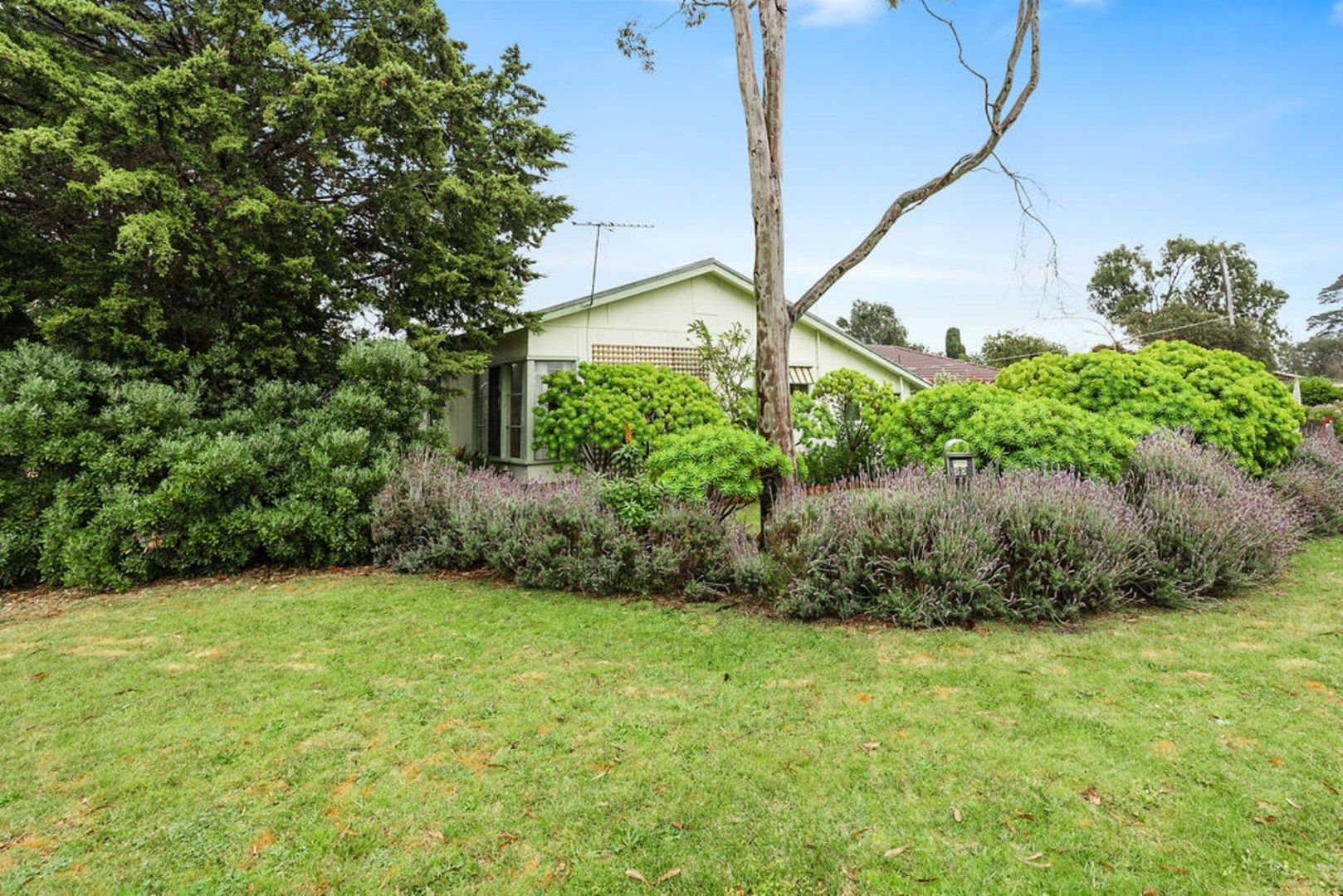 20 Challis Court, Rosebud Property History & Address Research Domain