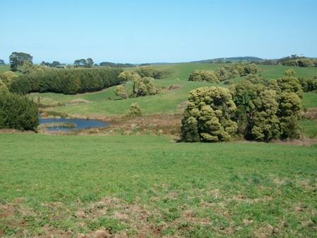 22 Old Main Road, Beech Forest VIC 3237