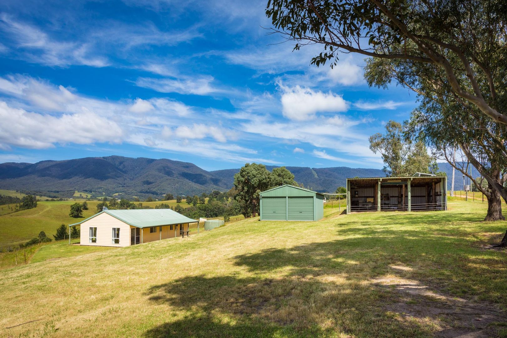 225 Brown Pearson Rd, Bemboka NSW 2550, Image 1